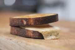 Whale Wins Srweek 08