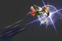 Wolf Flash