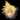 Cloud (SSB4)