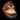 Donkey Kong (SSB4)