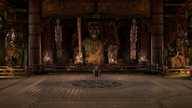 Mishima Dojo