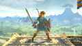 Link's side taunt.