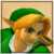 Link (SSBM)