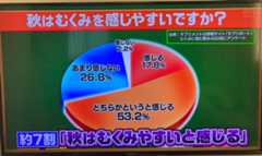 サプリポートは多数のメディアへの掲載実績があります！