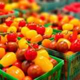 トマト缶は危険？安全？おすすめしたいトマト缶紹介からレシピまで解説！