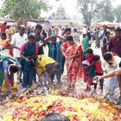 Subramanya Shashti observed