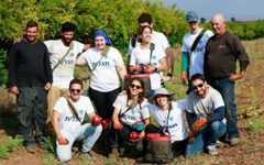 Birthright participants volunteer in an agricultural community in Israel following the October 7, 2023, Hamas onslaught. (courtesy)