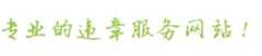最专业的违章查询服务网站