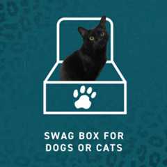 FLFC-BenefitIcons-SwagBox