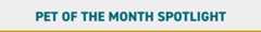 Pet of the Month Spotlight Banner - V2