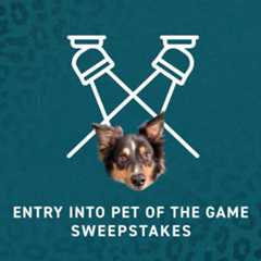 FLFC-BenefitIcons-Sweepstakes