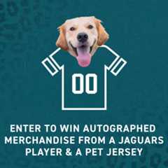 FLFC-BenefitIcons-PremiumWinJersey