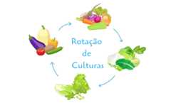 A rotação de culturas corresponde a uma técnica praticada na agricultura a fim de promover a conservação do solo.