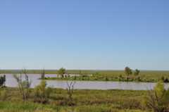 Área alagada na região do Aquífero Guarani.