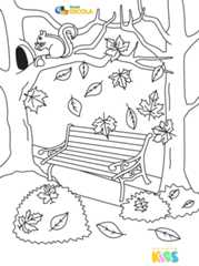 No outono as folhas caem