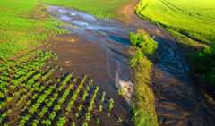 Lixiviação do solo em uma área de plantação.