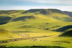 Vista dos Pampas, bioma brasileiro.
