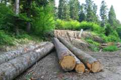 Os recursos da natureza são explorados economicamente pelo ser humano