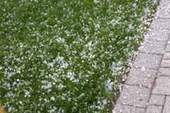 O granizo consiste na chuva em forma de pedras de gelo