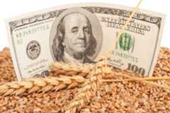 O agronegócio é responsável por uma grande circulação de dinheiro no mundo