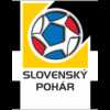 Slovakia Cup