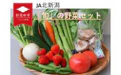 新発田産 旬の野菜セット【 JA北新潟 野菜セット 直売所 食育ソムリエ 旬 C08 】