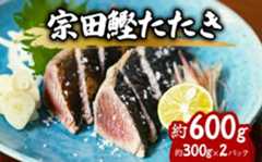 ヒラソウダ たたき 約600g 約300g×2パック 鰹 カツオ かつお 宗田鰹 宗太鰹 ソウダガツオ そうだがつお スマ すま 冷凍