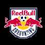Red Bull Bragantino Logo da equipe Red Bull Bragantino