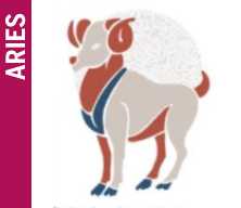 aries aries