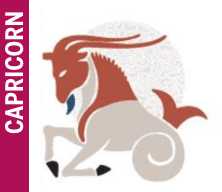 capricorn capricorn