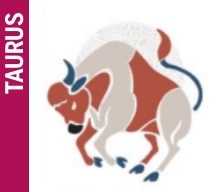 tauras tauras