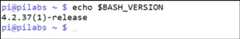 Bash vulnerabilities