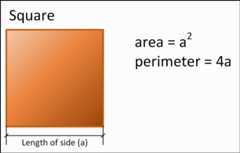 Capturing objects from the real world