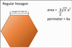 Capturing objects from the real world