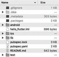Figure 1.3 – Typical Flutter project structure