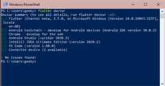 Figure 1.2 – Flutter doctor command-line output