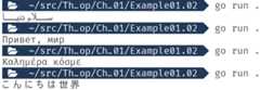 Figure 1.2: Output displaying valid values