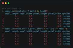Figure 1.1 &ndash; Using the openxlsx package to read the Excel file