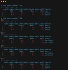 Figure 1.5 &ndash; Excel file read by read_excel_sheets()