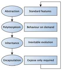 Figure 1.10 – APIE viewed as a continual improvement process