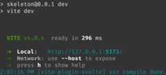 Figure 1.1 – Showing the output from the Vite development server