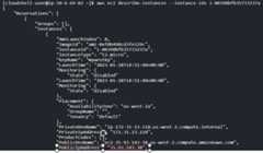 Figure 1.12 – Finding the EC2 instance’s public IP address