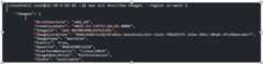 Figure 1.8 – Finding the Linux AMI image ID