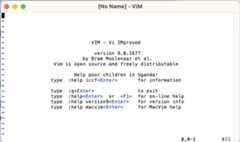 Figure 1.8 – MacVim on ﻿macOS