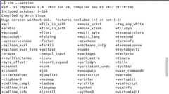 Figure 1.23 – Output of the vim --version command