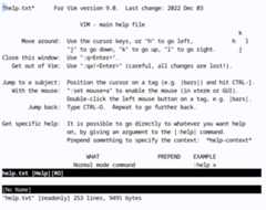 Figure 1.38 – The :help page – if you’ve read it, you probably wouldn’t have needed to read this book