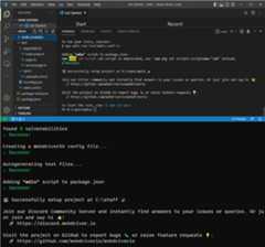 Figure 2.12 – WebdriverIO with TypeScript successfully installed