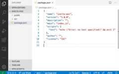 Figure 2.2 – What our project looks like right now, with the package.json file and two empty folders
