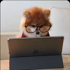 working-dog