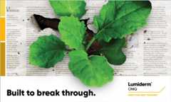 The new standard in canola